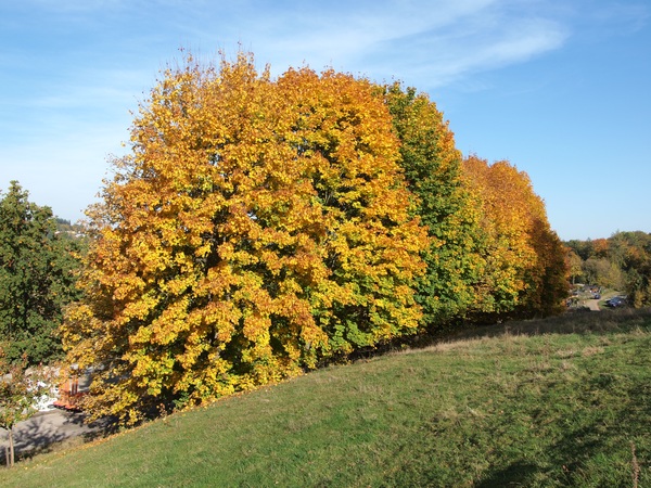Bild Nr. 3